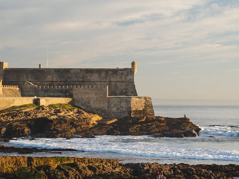 Your creative journey begins here