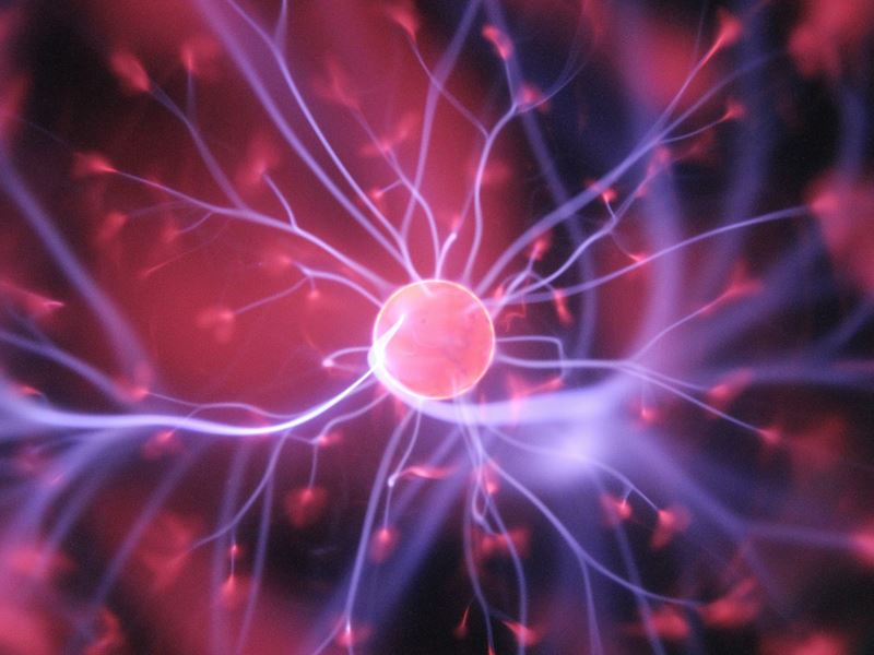 Nova SBE Behavioral Lab