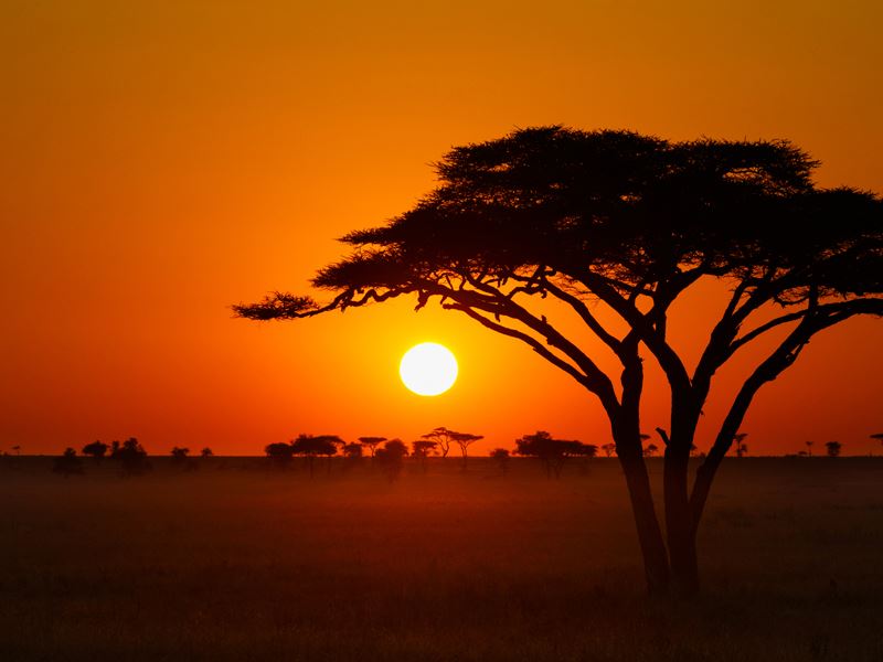 Nova SBE NOVAFRICA Knowledge Center