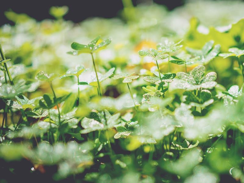 What we are working on