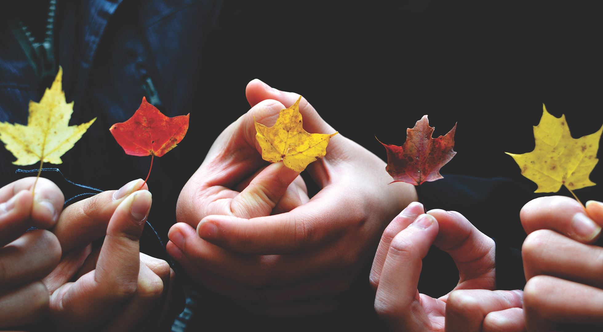 Who is behind our Knowledge Center