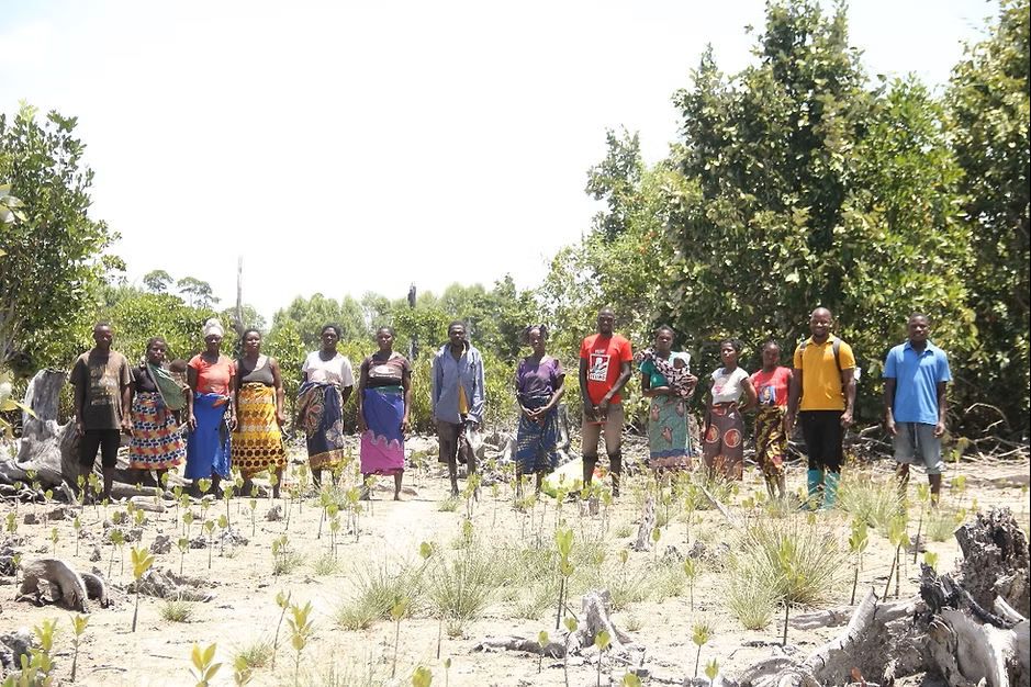 🌿 MozambES: Merging Science, Community, and Nature to Restore Nhangau Mangroves