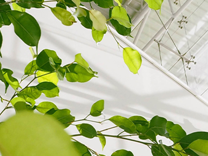 Towards a greener campus